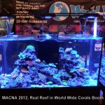 World Wide Corals
